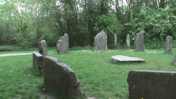 County Wexford Irsko Května 2012 Kamenný Kruh Irském Národním Památkovém — Stock video
