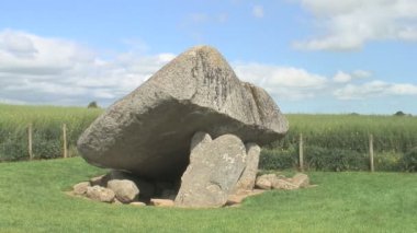 Brownshill Dolmen, İrlanda 'nın Carlow ilçesinde bulunan megalitik granit kapak taşı.. 