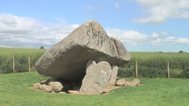 Der Brownshill Dolmen Ein Megalithischer Granitstein Der Irischen Grafschaft Carlow — Stockvideo