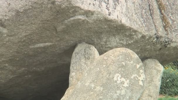 Der Brownshill Dolmen Ein Megalithischer Granitstein Der Irischen Grafschaft Carlow — Stockvideo