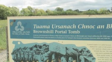 Brownshill Dolmen, İrlanda 'nın Carlow ilçesinde bulunan megalitik granit kapak taşı.. 