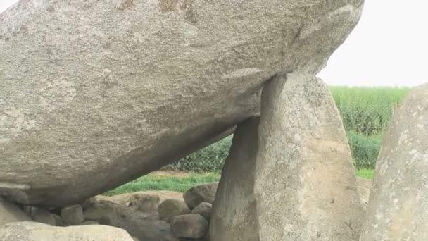 Brownshill Dolmen Una Pietra Miliare Megalitica Granito Situata Nella Contea — Video Stock