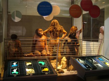 Sterkfontein, Güney Afrika - 22 Kasım 2011: Sterkfontein, Gauteng eyaletinde paleo-antropologlara özel ilgi gösteren bir mağara setidir. Bu bölge insanlığın beşiği olarak bilinir..