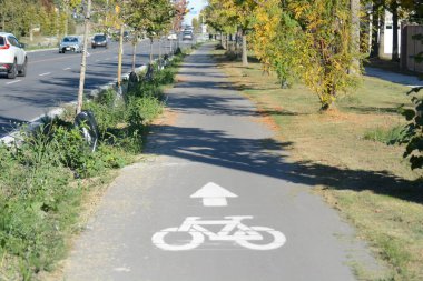 TORONONONONONTO, ONTARIO, CANADA - 15 Ekim 2025: Bisikletçiler bisikletlerini kuzeydoğu Toronto 'daki Steeles Avenue' daki yeni bisiklet yollarında sürüyorlar.