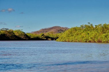 Palo Verde Ulusal Parkı 'ndaki Tempisque Nehri, Kosta Rika