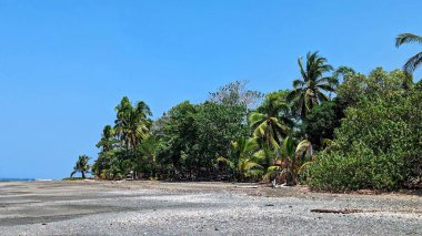 Playa San Juanillo Plajı, Guanacaste ili, Kosta Rika. 