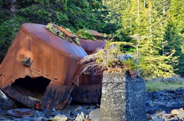 Haida Gwaii, BC, Kanada 'daki Rose Limanı' ndaki terk edilmiş balina avlama istasyonunda eski paslanma makineleri ve tabelalar.
