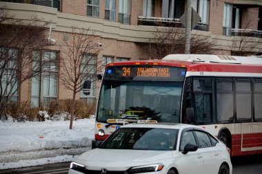 Toronto, Ontario, Kanada, 6 Şubat 2026: Toronto toplu taşıma TTC 34 Eglinton Doğu Otobüsü, Metrolinx Eglinton Crosstown LRT 'nin açılışından birkaç gün önce Toronto Eglinton Bulvarı boyunca ilerliyor..