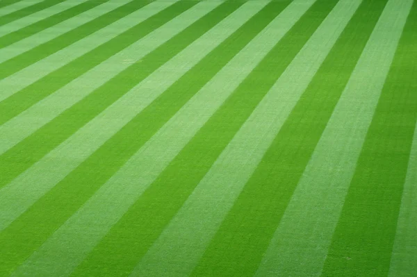 Futbol alan arka plan