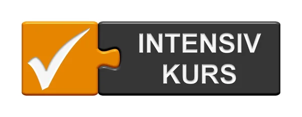 Puzzel knop weergegeven: Intensice cursus Duits — Stockfoto