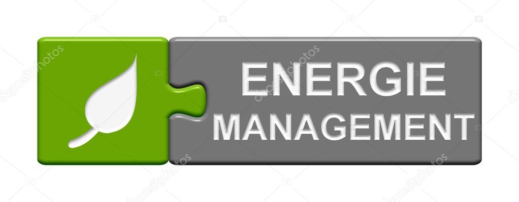 Puzzle Button showing Energy-Management german
