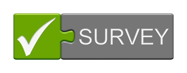 Puzzle Button survey green grey — Stock Photo, Image