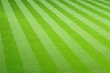 Yeşil futbol çim arka plan