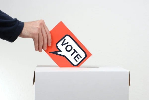 투표 — 스톡 사진