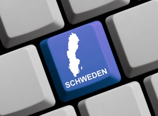 Πληκτρολόγιο υπολογιστή - περίγραμμα των γερμανικών Σουηδία — Φωτογραφία Αρχείου