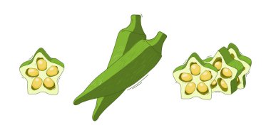 Resim seti, sebze abelmos bamya gombo beyaz arkaplanda.