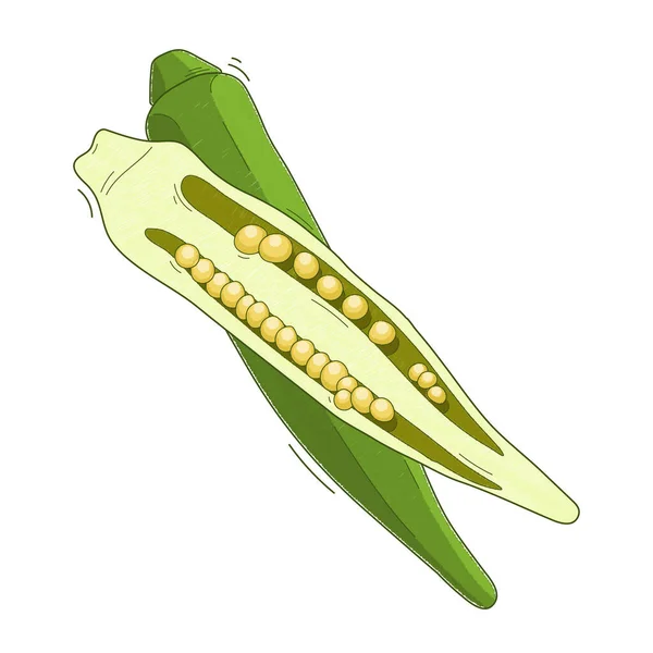 Illustration Vegetable Abelmos Okra Gombo White Background — Foto de Stock