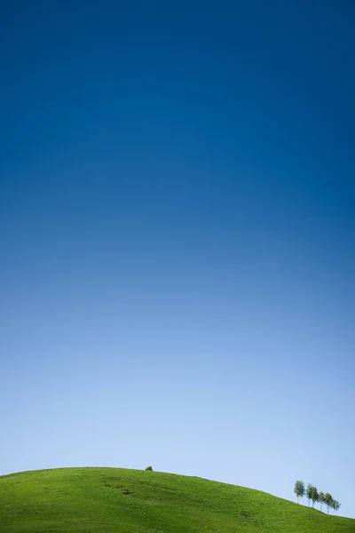 Paesaggio Estivo Minimalista Con Prato Verde Cielo Blu Bellissimo Sfondo — Foto Stock