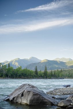 Nehir manzarası, kayalık sahil, orman, dağlar ve mavi gökyüzü. Altai Cumhuriyeti, Katun Nehri. Doğanın güzelliği, dağlarda sabah, medeniyetten kaçar..