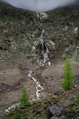 Kayalık dağları, şelalesi, kozalakları ve sisi olan güzel bir dağ manzarası. İskoçya, sisli dağ, sert iklim, çorak arazi veya dağcılık konsepti.
