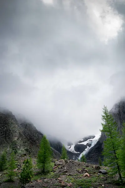 A beautiful alpine landscape with a glacier between peaks, rocks, conifers and fog. Highlands, snow on mountains, permafrost, harsh climate, wasteland or mountaineering concept.