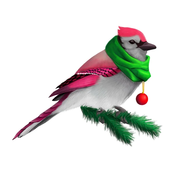 Weihnachtsfeiertag Illustration mit blauen Eichelhäher Vogel mit Schal — Stockfoto