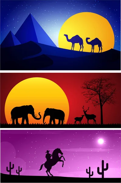 Ilustração Vetorial Camelos Animais — Vetor de Stock