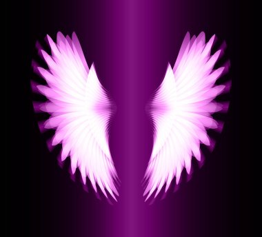 Bir kuşla kanatların vektör illüstrasyonu