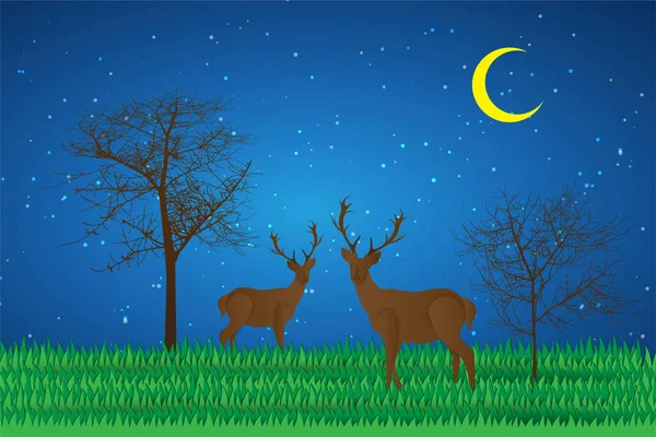 Gece ormanındaki bir geyiğin vektör çizimi