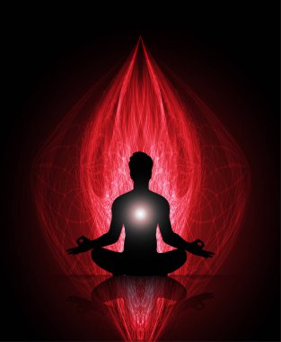 Nilüfer çiçeğinin silüeti siyah bir arkaplanda poz verir.