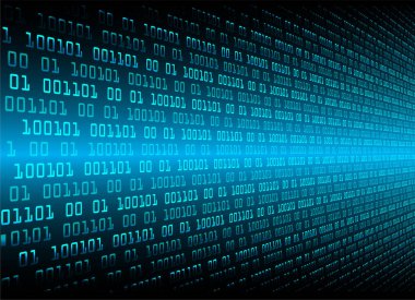 ikili kodların dijital kodu