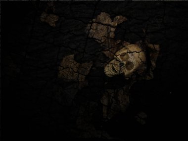 kafatası ve iskelet koyu arkaplanda