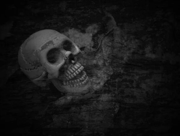 Skull Skeleton Dark Background — Stock Photo, Image