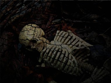 kafatası ve iskelet koyu arkaplanda