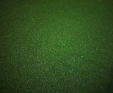 yeşil çimen dokusu arkaplanı