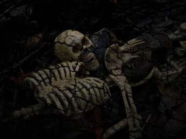 kafatası ve iskelet koyu arkaplanda