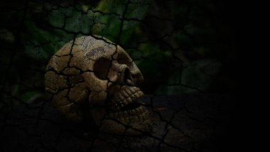 kafatası ve iskelet koyu arkaplanda