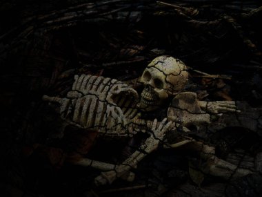 kafatası ve iskelet koyu arkaplanda