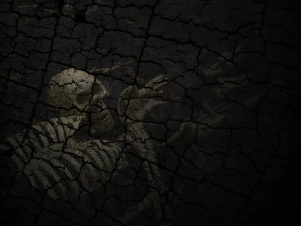 Crânio Esqueleto Fundo Escuro — Fotografia de Stock