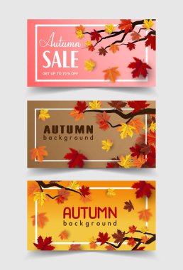 Sonbahar akçaağaç yaprağı arkaplan pankartı