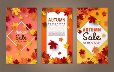 Sonbahar akçaağaç yaprağı arkaplan pankartı