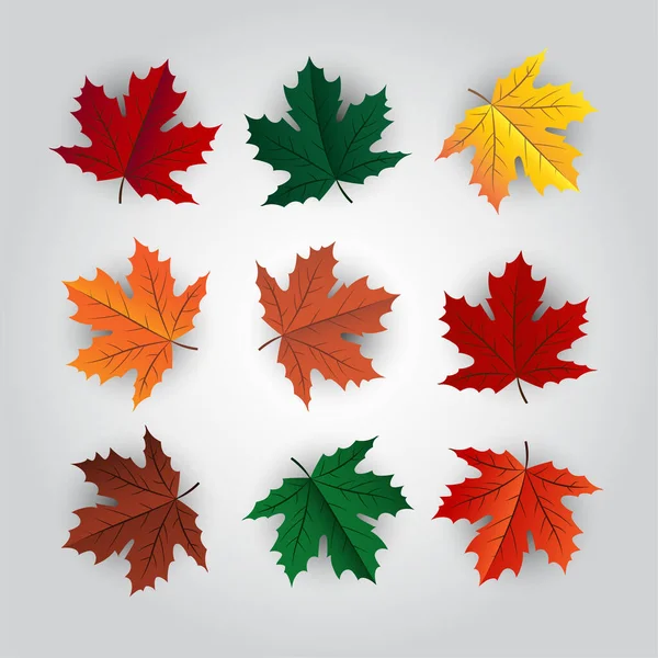 Set Autumn Leaves Vector Illustration — Stock Vector