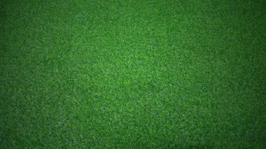 yeşil çimen dokusu arkaplanı
