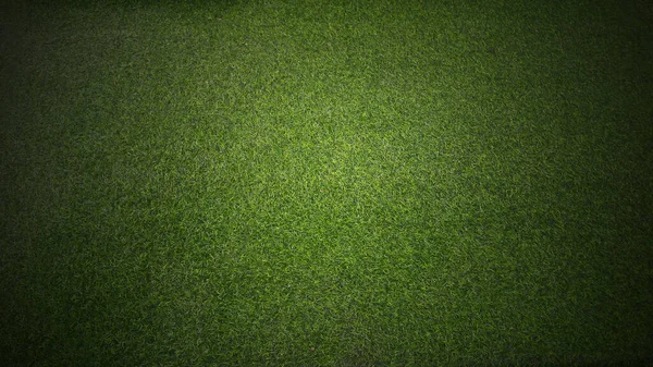 Vert Herbe Texture Fond — Photo