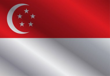 Singapur bayrağı. vektör illüstrasyonu