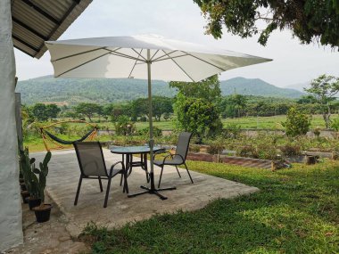 Parkta güzel bir bahçe Sandalyeler ve bitkilerle