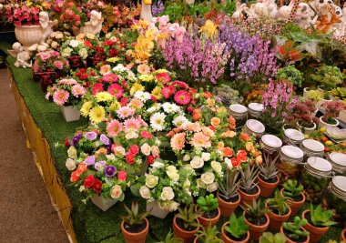 Plastik çiçeklerin güzel renkleri. Renkli Yapay Çiçek