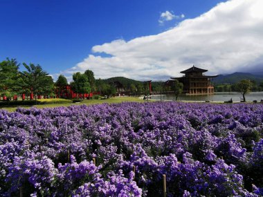 Parkın güzel manzarası