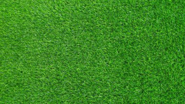 yeşil çimen dokusu arkaplanı