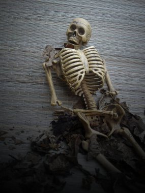 kafatası ve iskelet gri arkaplanda